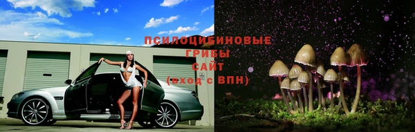 соль ск Богородицк