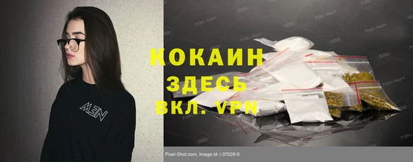 соль ск Богородицк