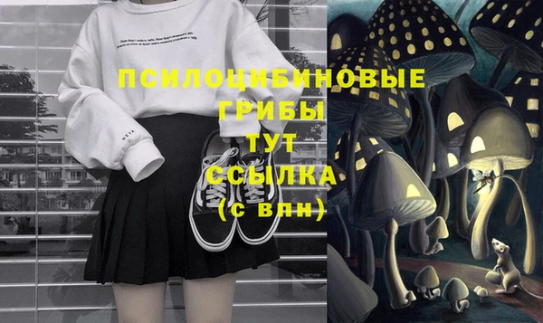 прущий лед Богородск