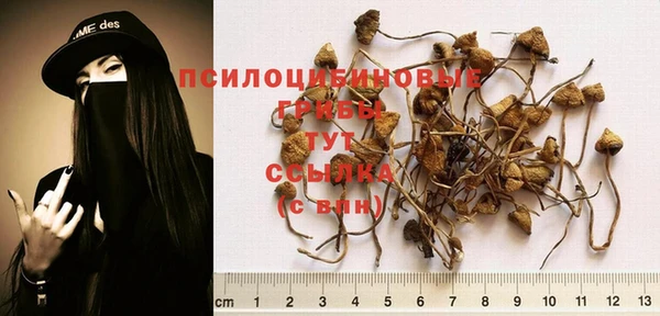 прущий лед Богородск
