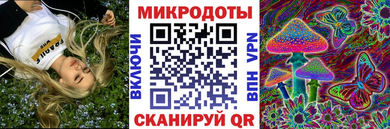 купить наркоту  Короча  Галлюциногенные грибы Psilocybe 